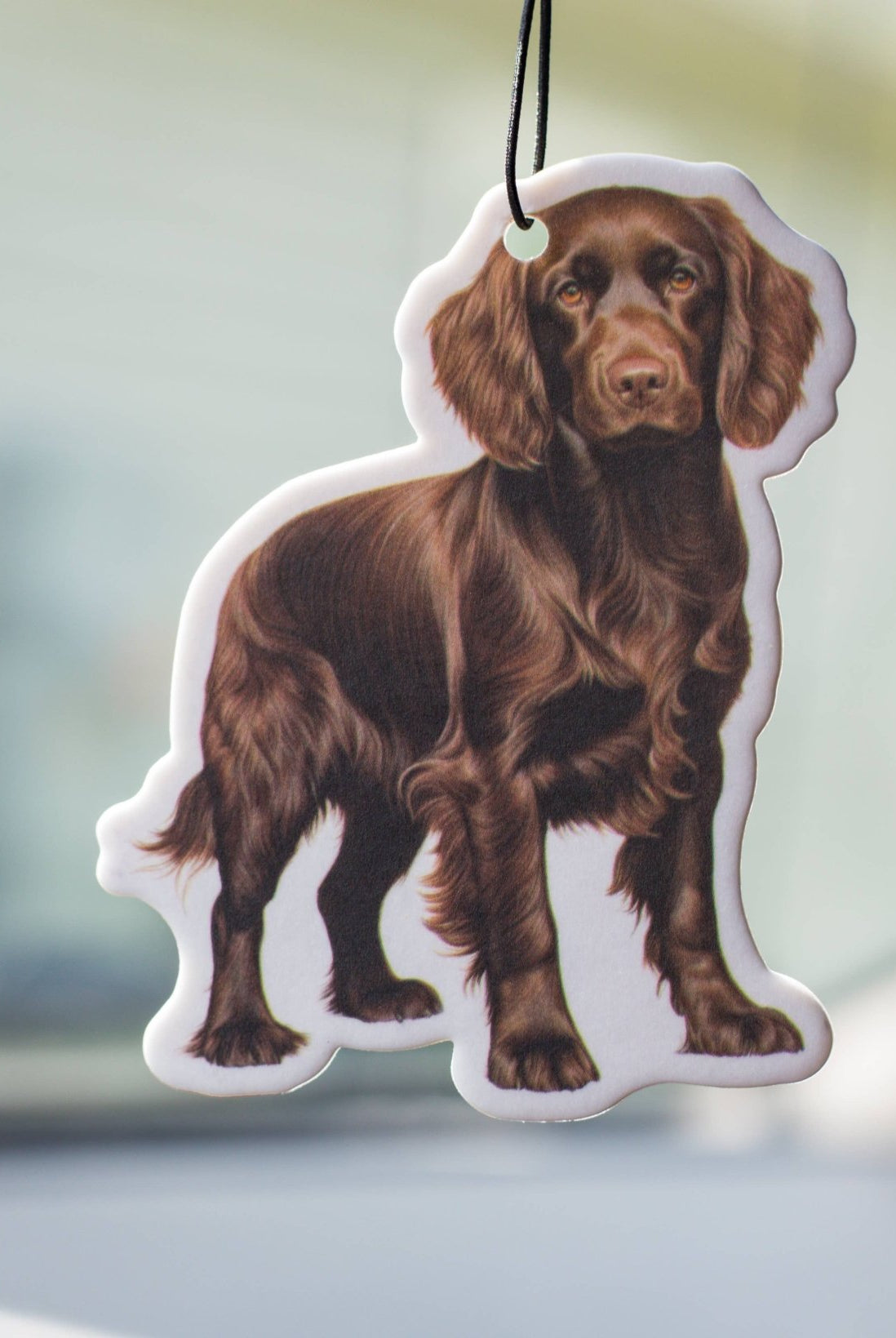 Boykin - Air freshener - A'Bekah's Boutique
