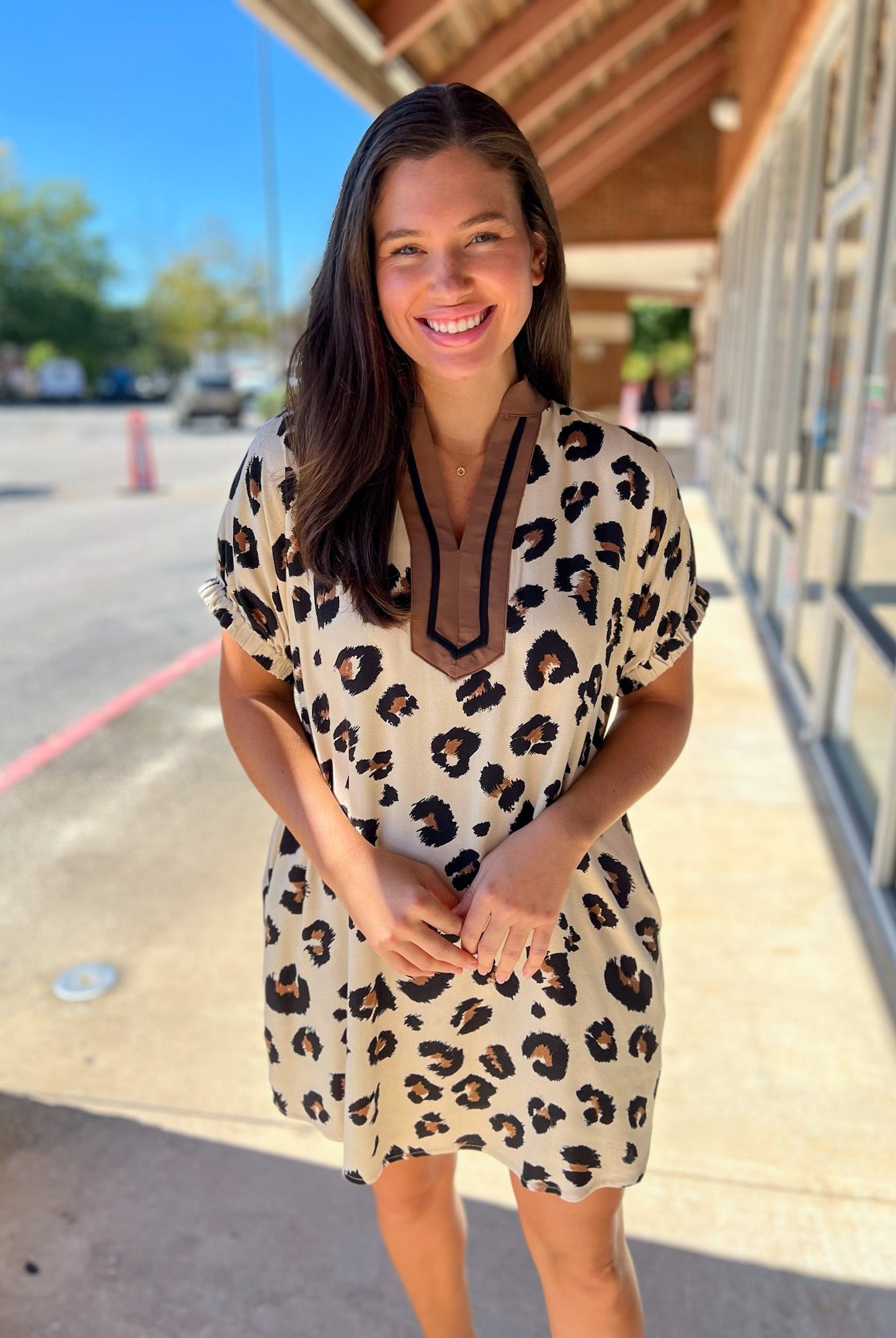 Leopard Print V - Neck Dress with Pockets (R) - A'Bekah's Boutique