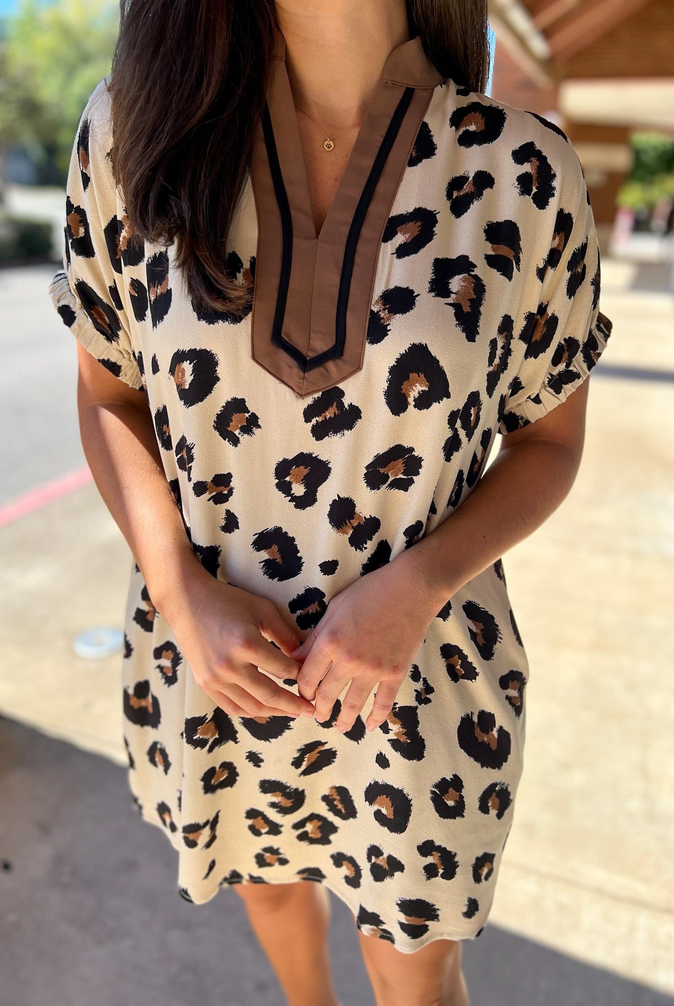 Leopard Print V - Neck Dress with Pockets (R) - A'Bekah's Boutique