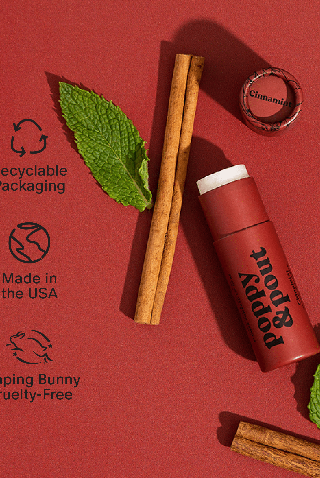 Lip Balm, Cinnamint - A'Bekah's Boutique