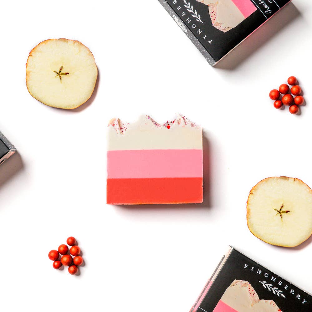 Cranberry Chutney Vegan - friendly Gluten - free Boxed Soap - A'Bekah's Boutique