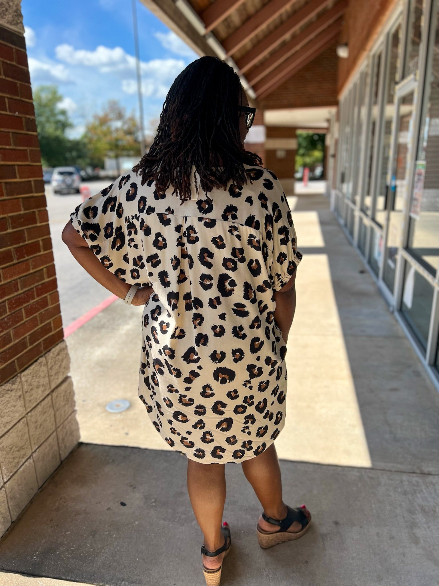 Leopard Print V - Neck Dress with Pockets (C) - A'Bekah's Boutique