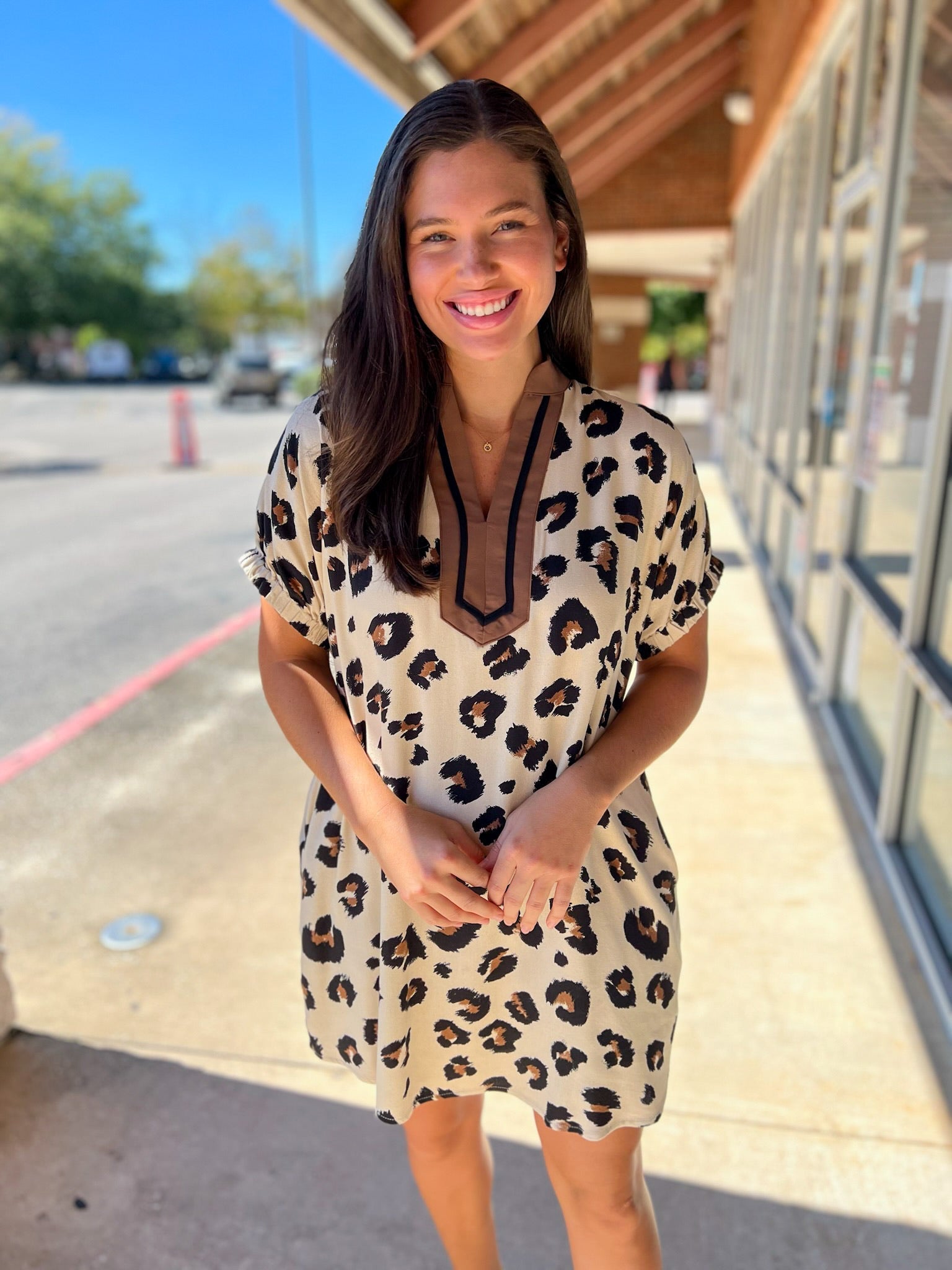 Leopard Print V - Neck Dress with Pockets (R) - A'Bekah's Boutique