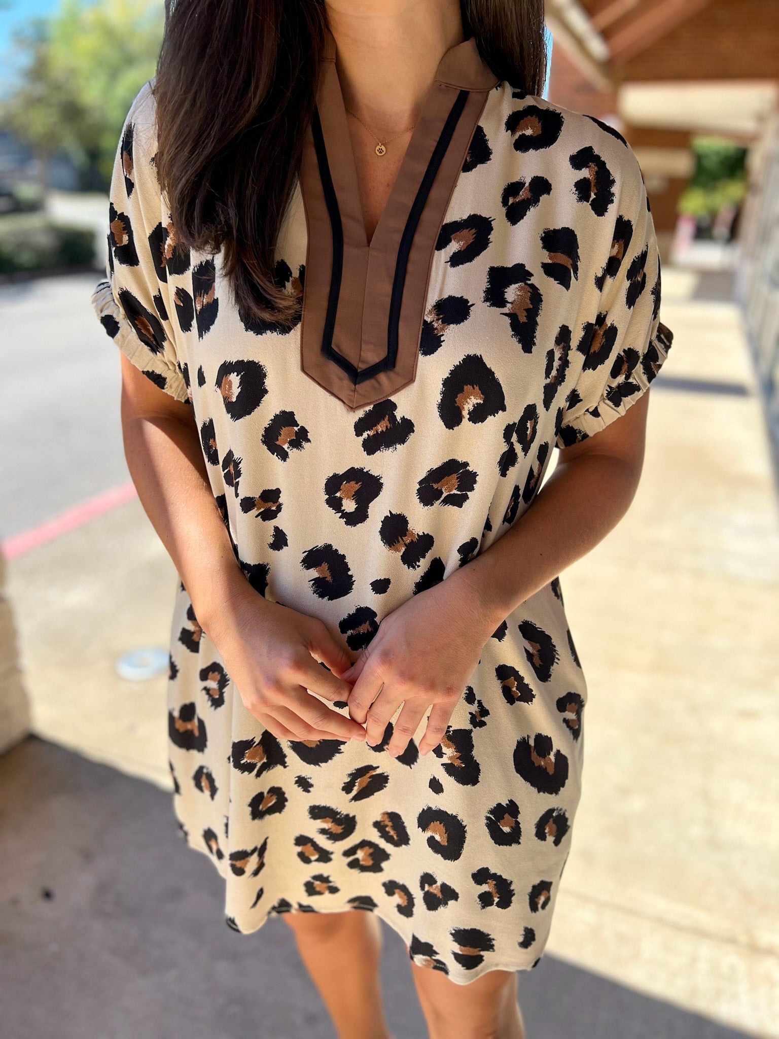 Leopard Print V - Neck Dress with Pockets (R) - A'Bekah's Boutique