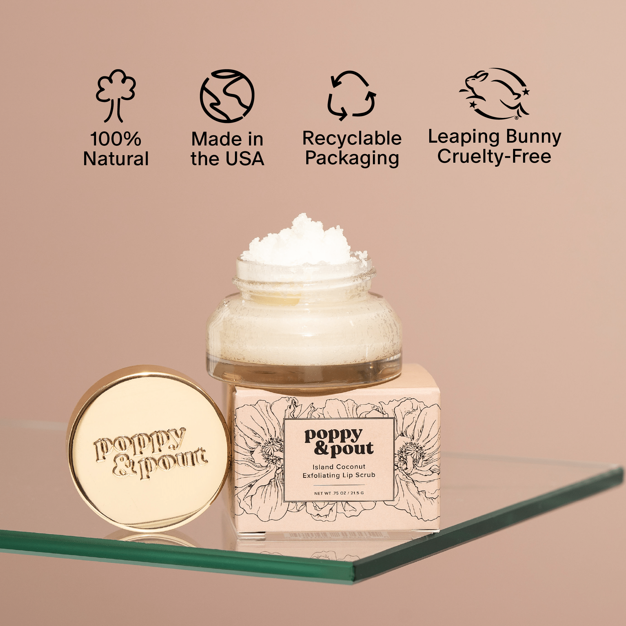 Poppy & Pout Lip Scrub, Island Coconut - A'Bekah's Boutique