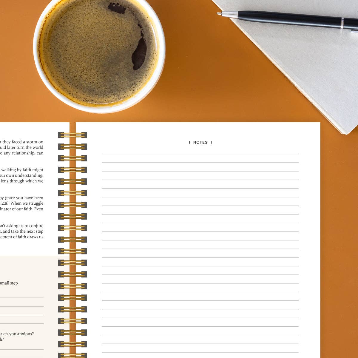 The Bible In A Year: A 52 - Week Journey Through God's Word - A'Bekah's Boutique