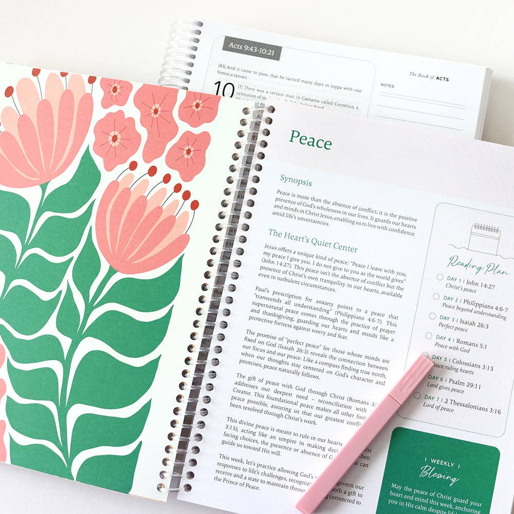 The Bible In A Year: A 52 - Week Study - A'Bekah's Boutique